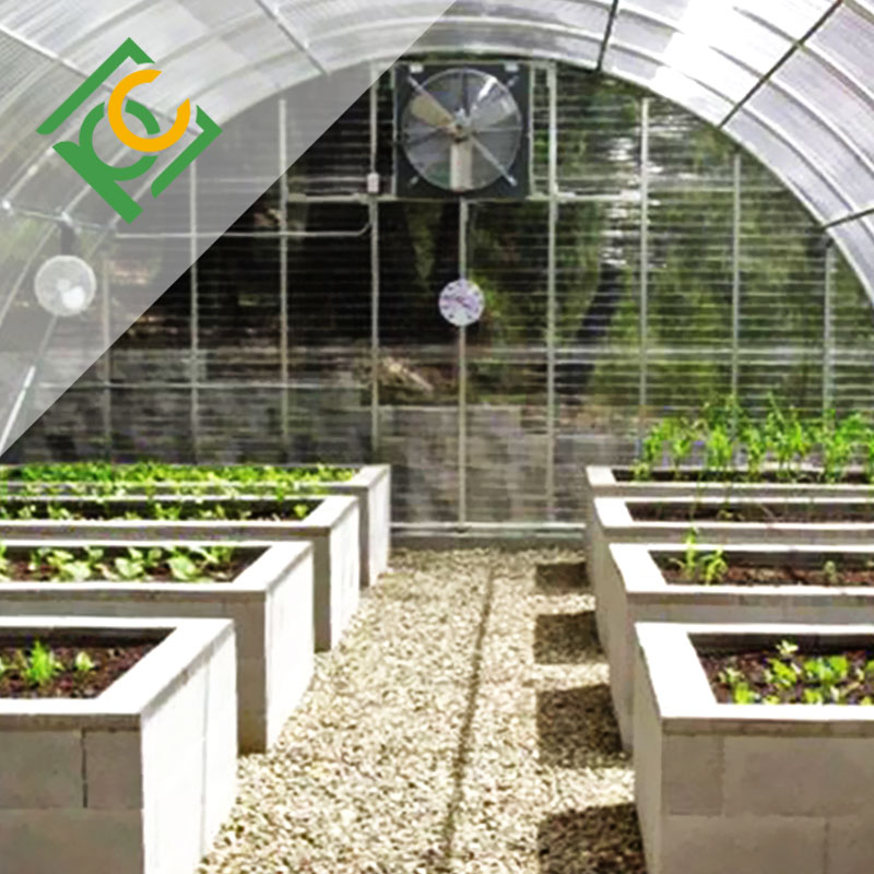 Agricultural Vegetable Greenhouses Corrugated Polycarbonate Sheet