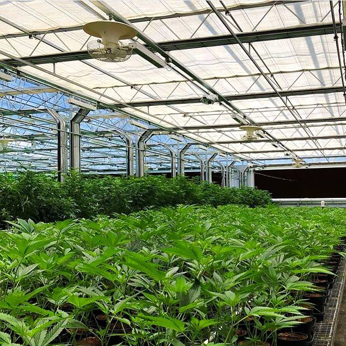 Greenhouses Green House Greenhouse Polycarbonate Green House Greenhouses For Agriculture