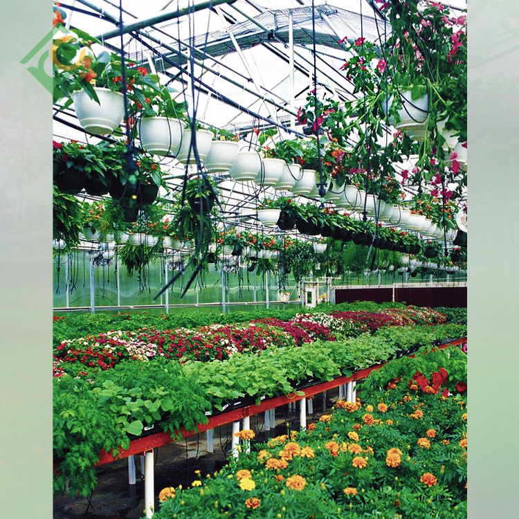 Flower Greenhouse